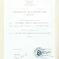  | GLOBAL AUCTION