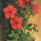 Hibiscus | GLOBAL AUCTION