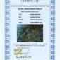  | GLOBAL AUCTION