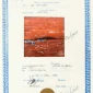  | GLOBAL AUCTION