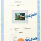  | GLOBAL AUCTION