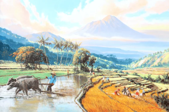 Panen Terus-kampung Damai Magelang