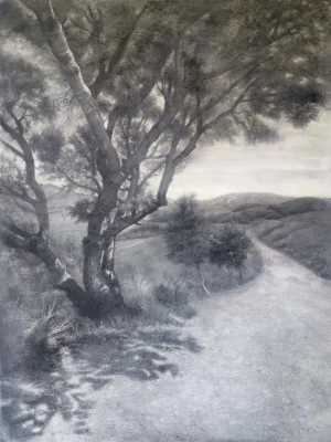 Guntur Timur - A Degree Of Unpredictable Avlues/range Of Greys #6