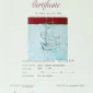  | GLOBAL AUCTION