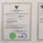  | GLOBAL AUCTION