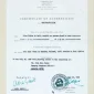  | GLOBAL AUCTION