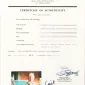  | GLOBAL AUCTION