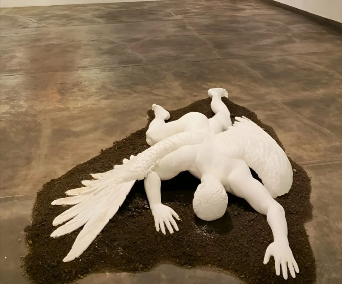 Alexander Chris | NEO GALLERY